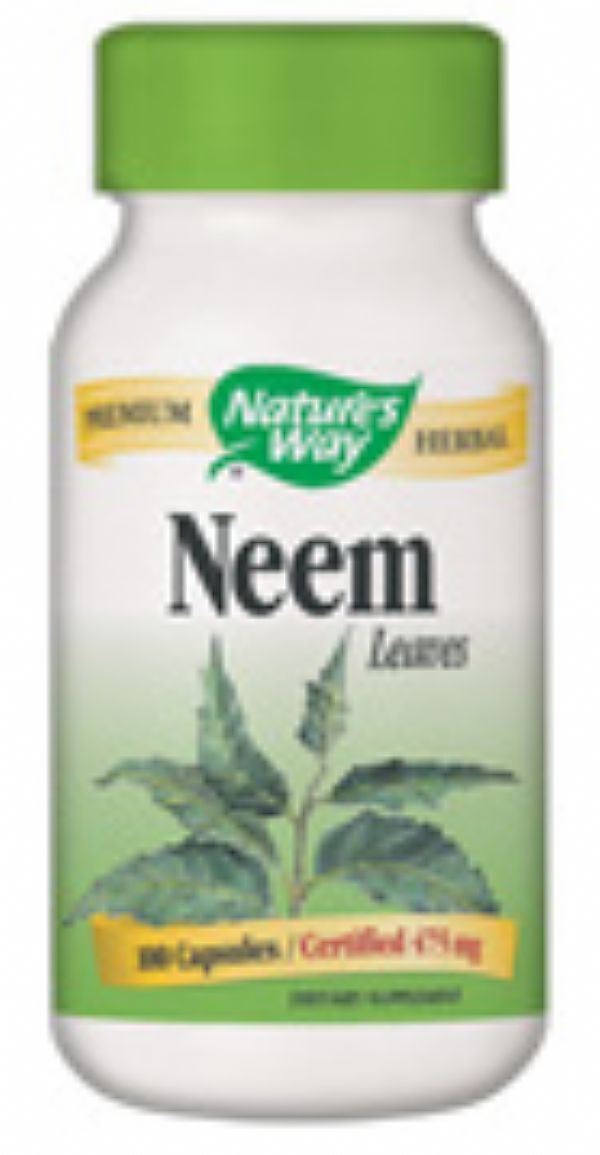 Neem Leaves - Azadirachta indica - nimba - feuilles de Neem - 475 mg